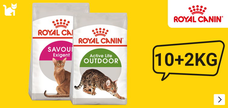 supersale royal canin bonus cat