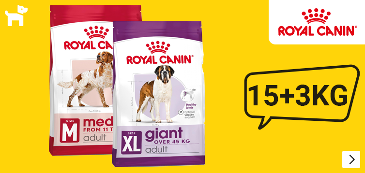 supersale royal canin bonus dog