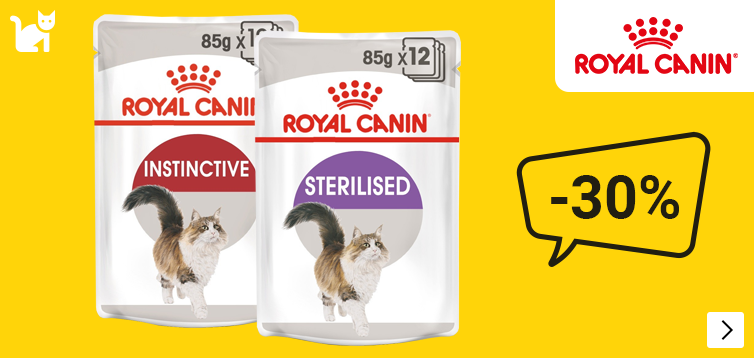 supersale royal canin wetcat