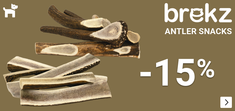 BREKZ ANTLERS 15% korting DOG