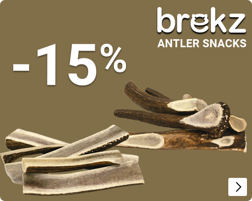 BREKZ ANTLERS 15% korting DOG