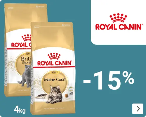 Royal Canin Breed kleinverpakkingen kat 15% korting CAT