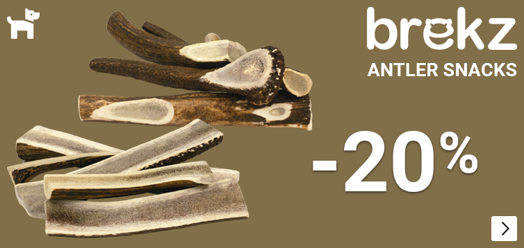 BREKZ ANTLERS 20% korting DOG