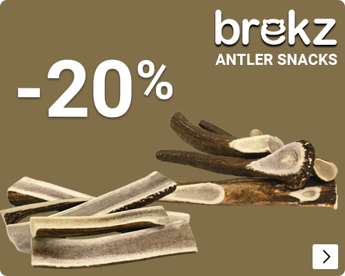 BREKZ ANTLERS 20% korting DOG