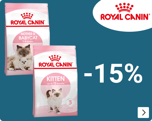 Royal Canin Start of life grootverpakkingen kat 15% korting CAT