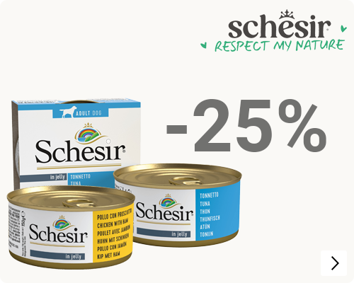 Schesir ALLEEN  IT 25% korting DOG