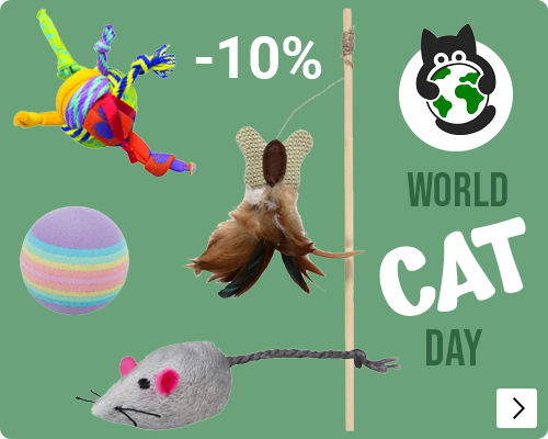 WERELDKATTENDAG SPEELGOED 10% korting CAT