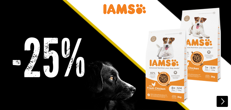BF Iams kleinverpakkingen hond 25% korting DOG