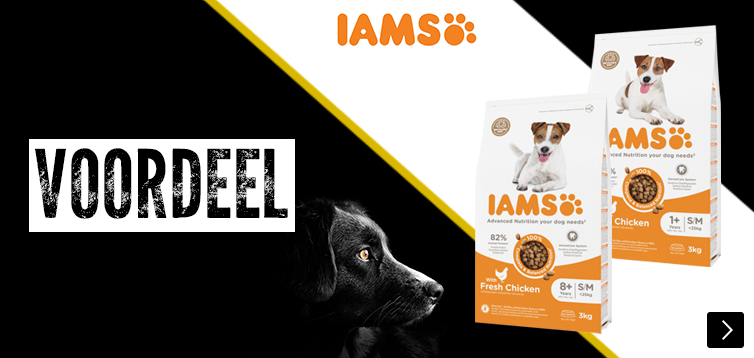 BF Iams kleinverpakkingen hond 25% korting DOG