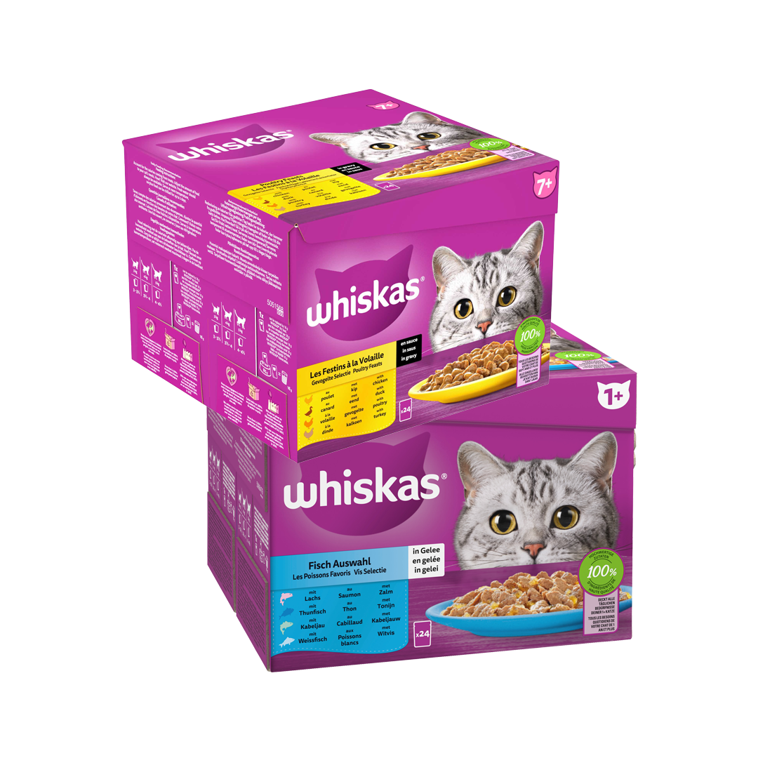 packshot