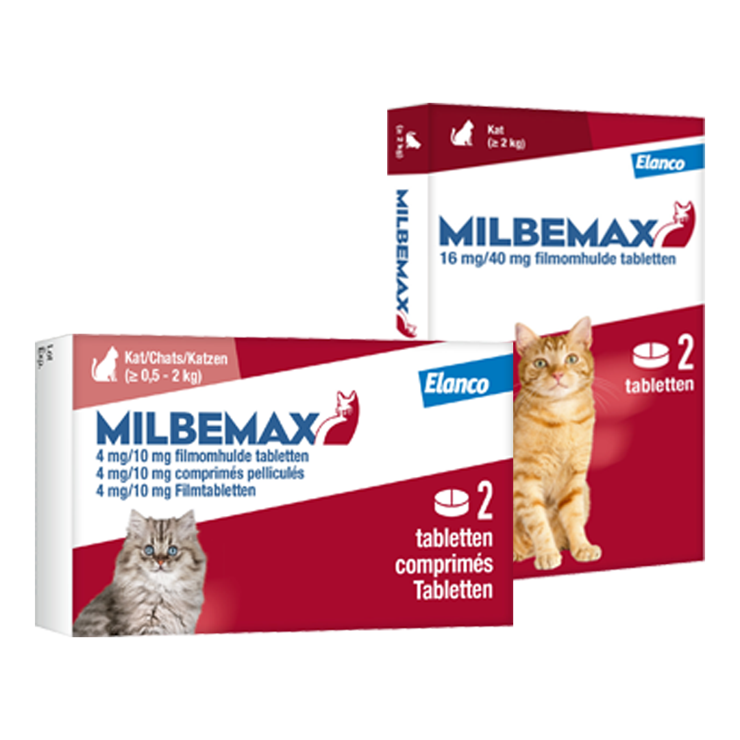 packshot