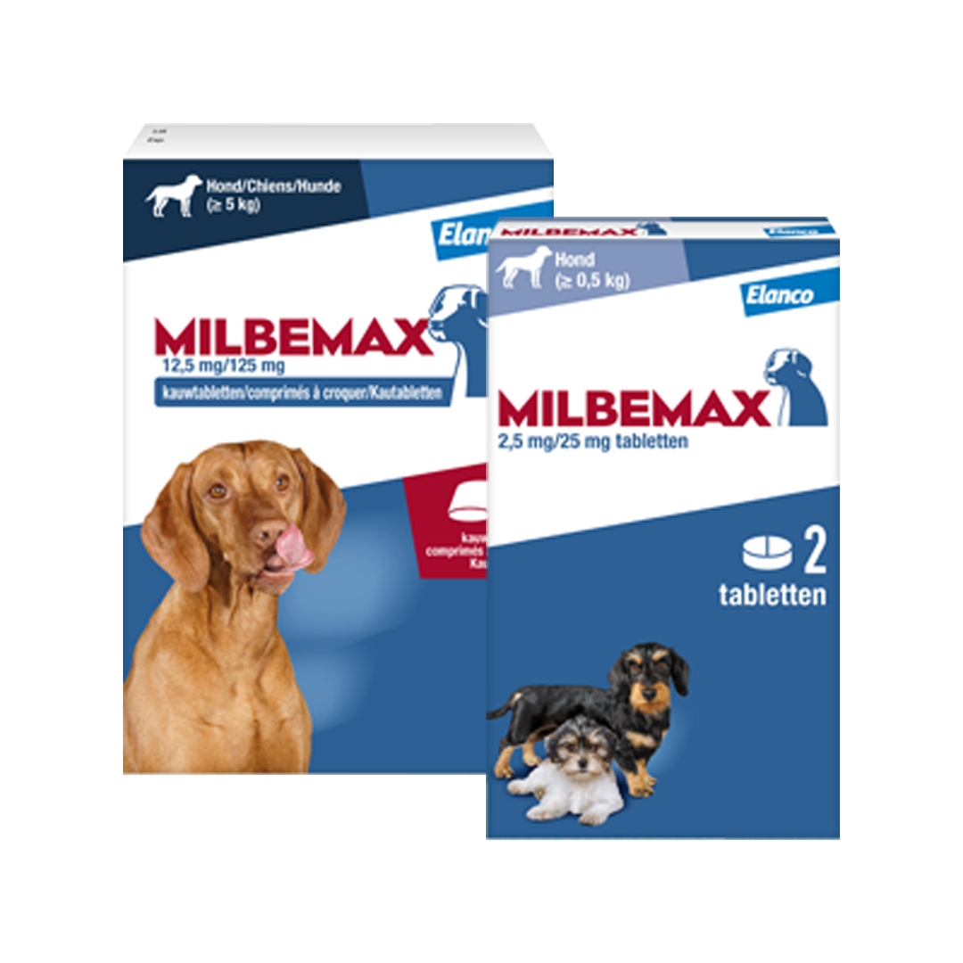 packshot