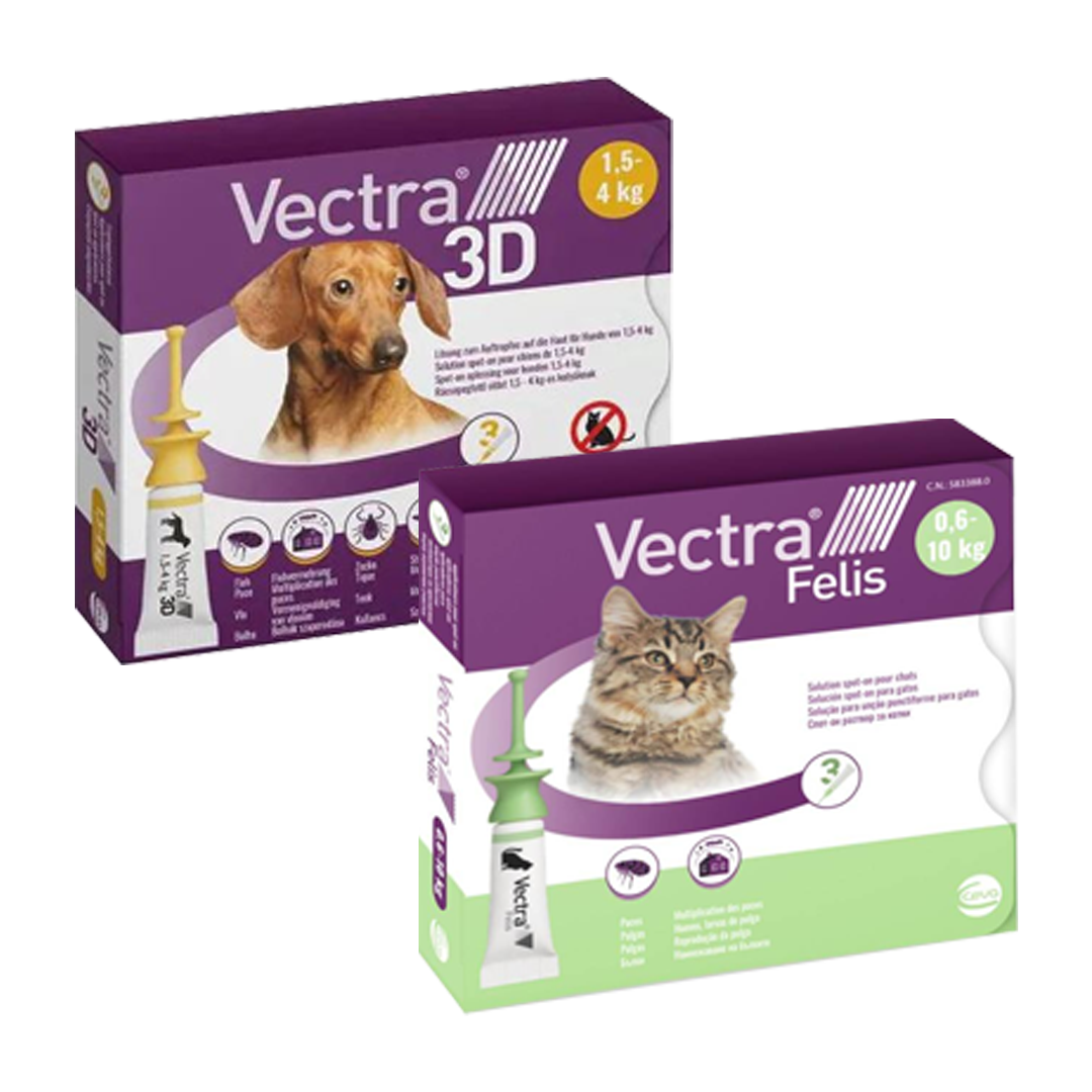 packshot