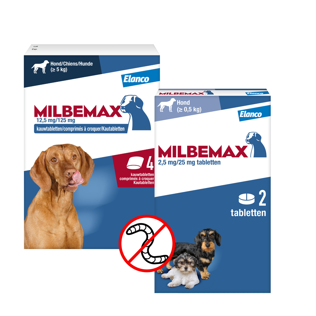 packshot