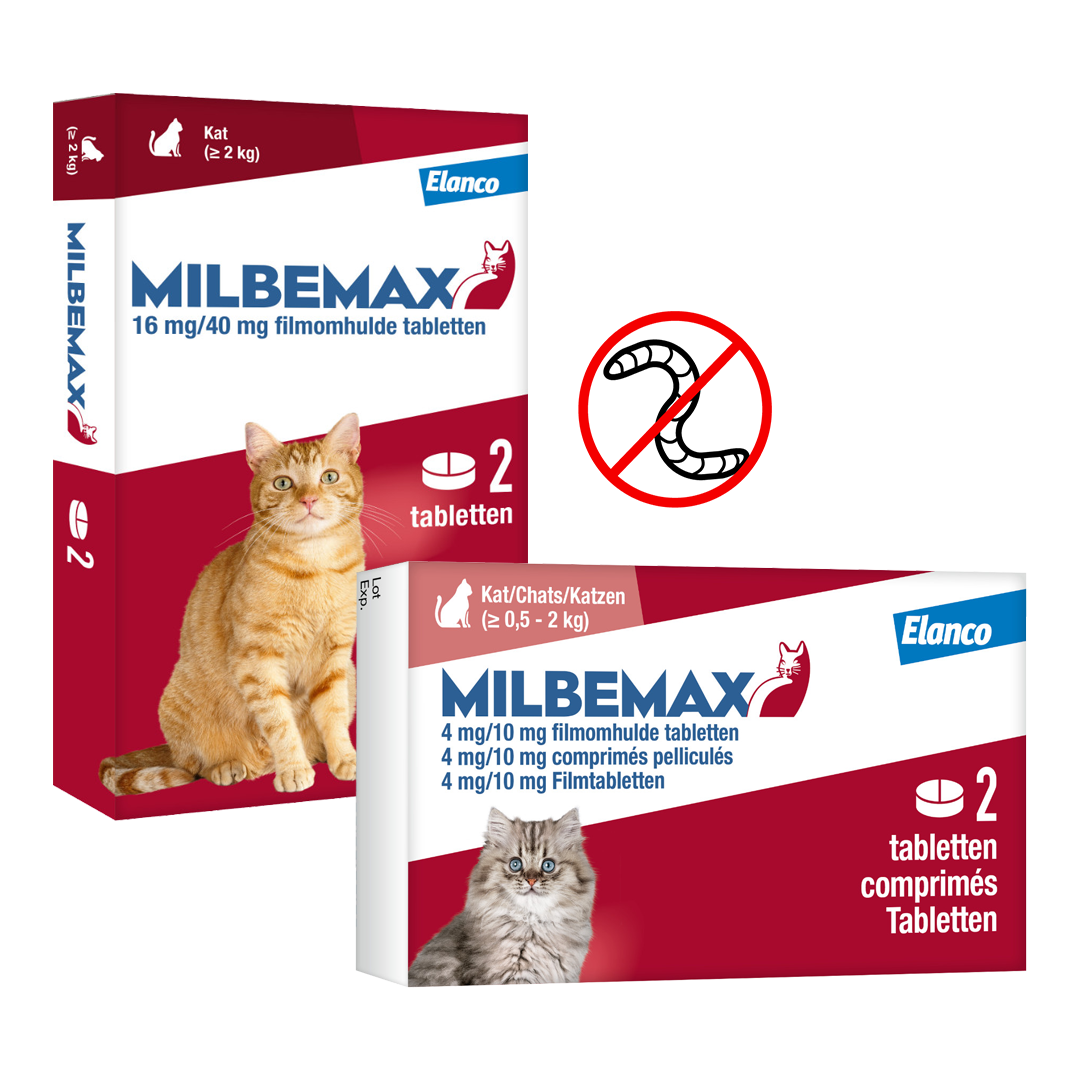 packshot