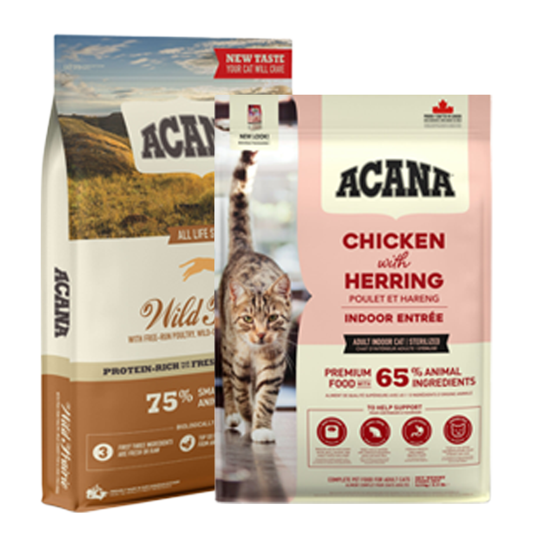 packshot
