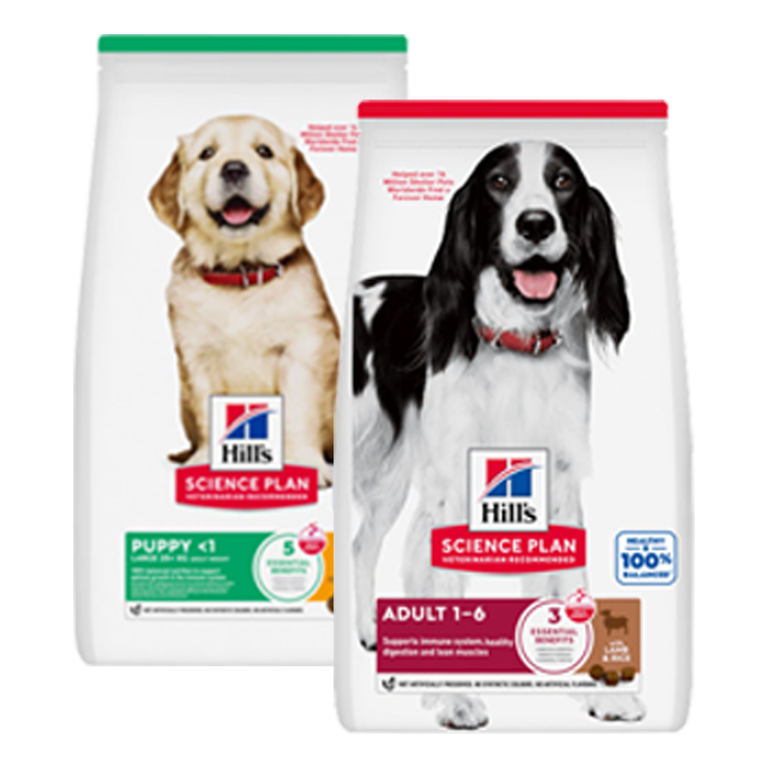packshot