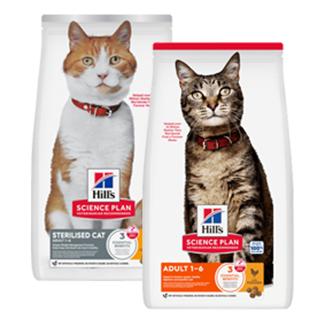 packshot