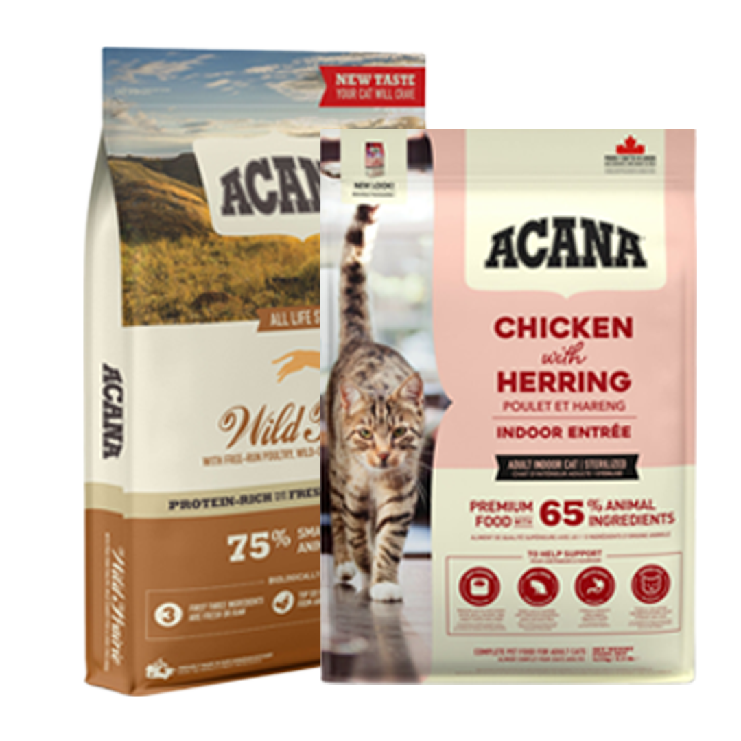 packshot