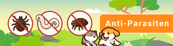 top banner