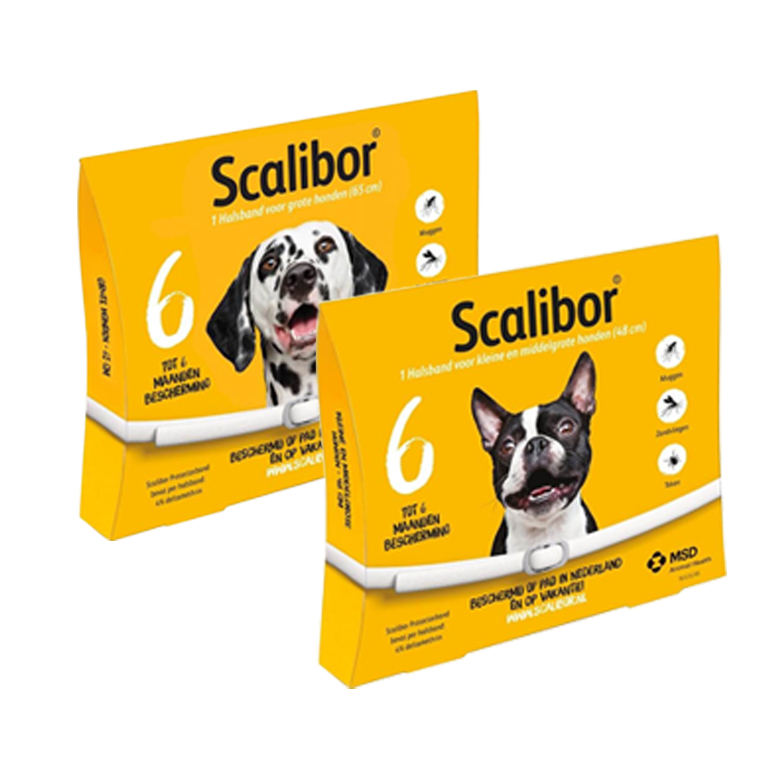 packshot