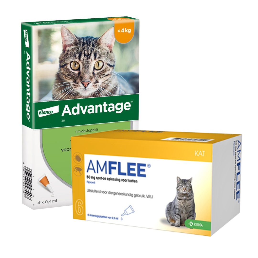 packshot