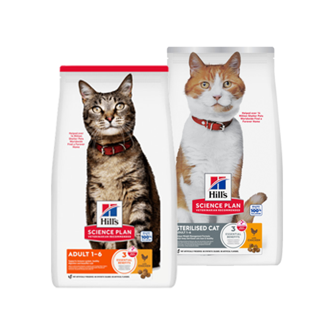 packshot