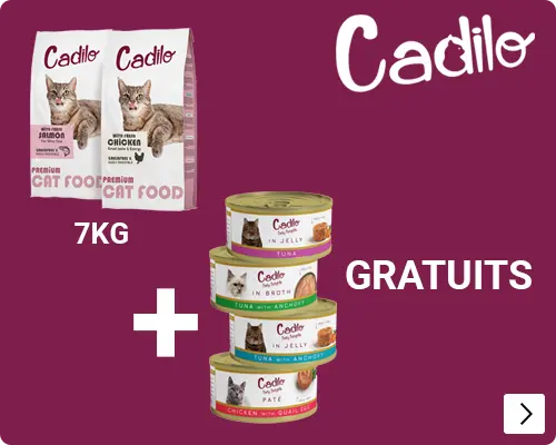 CADILO WET AND DRY CAT