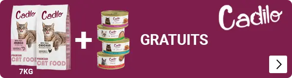 CADILO WET AND DRY CAT