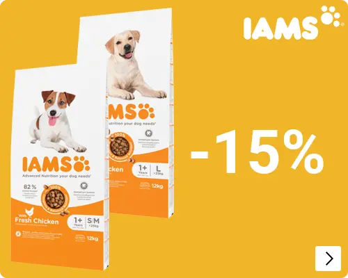 Iams grootverpakkingen hond 15% korting DOG