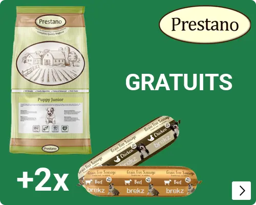 PRESTANO EN 2 GV WORSTen gratis DOG
