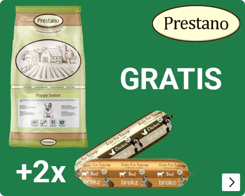PRESTANO EN 2 GV WORSTen gratis DOG