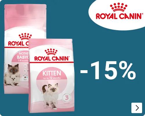 Royal Canin Start of life kattenvoer grootverpakkingen 8-15kg 15% korting CAT