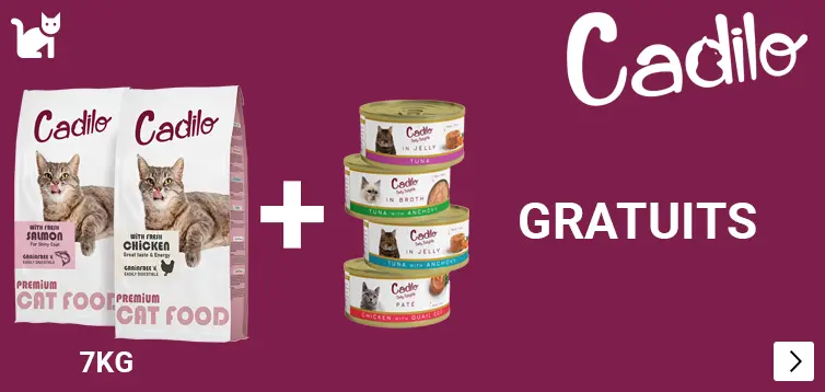 CADILO WET AND DRY CAT