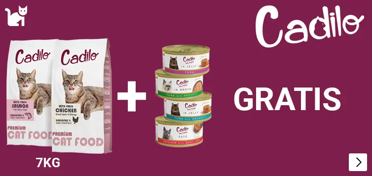 CADILO WET AND DRY CAT