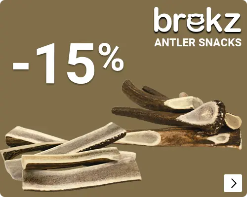 BREKZ ANTLERS 15% korting DOG