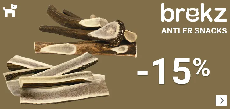 BREKZ ANTLERS 15% korting DOG