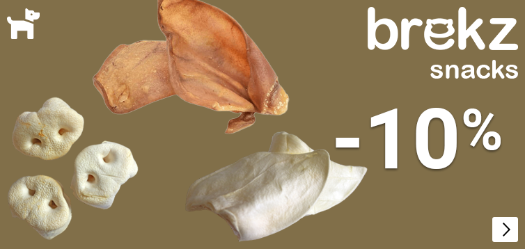 BREKZ SNACKS VARKENSOREN 10% korting DOG
