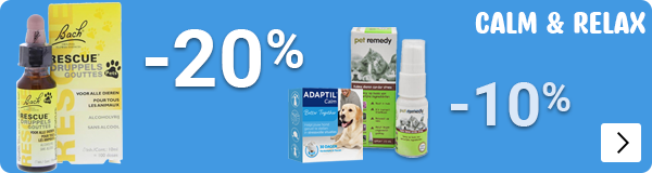 RUSTGEVEND ZOMER VAKANTIE tot 20% korting DOG CAT