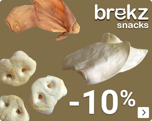 BREKZ SNACKS VARKENSOREN 10% korting DOG