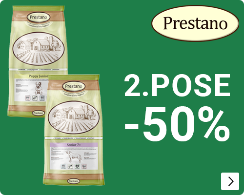 PRESTANO 2e zak -50% DOG