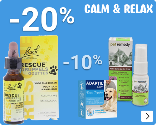 RUSTGEVEND ZOMER VAKANTIE tot 20% korting DOG CAT