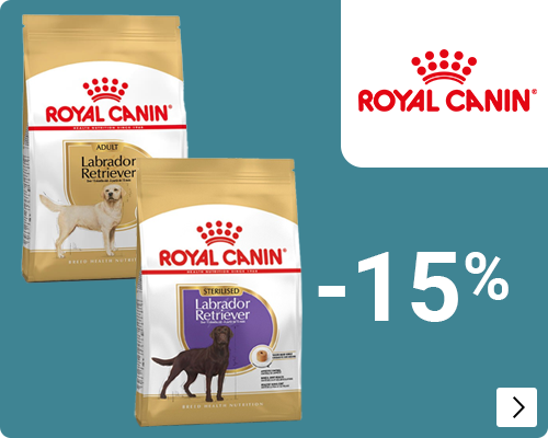 Royal Canin Breed grootverpakkingen hond 15% korting DOG