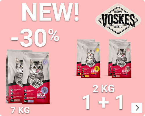 VOSKES DROOGVOER KAT NEW CAT