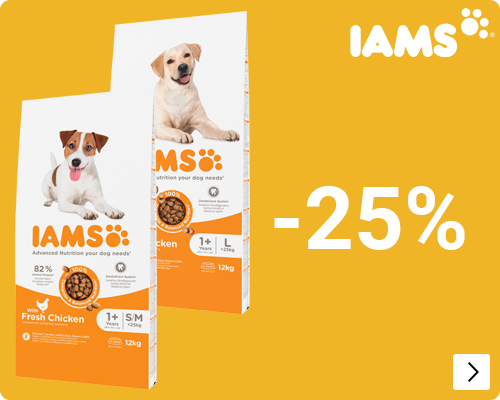 Iams grootverpakkingen hond 25% korting DOG