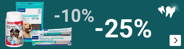 MAAND VH GEBIT DAP HERHALING DOG CAT