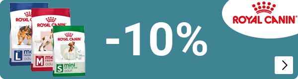 Royal Canin Diverse grootverpakkingen hond 10% korting DOG