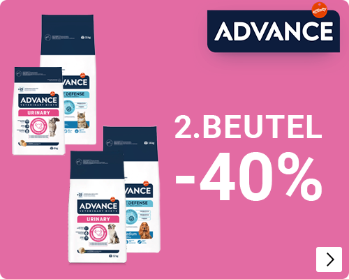 alle Advance honden en kattenvoer 40% korting op de 2e zak DOG CAT