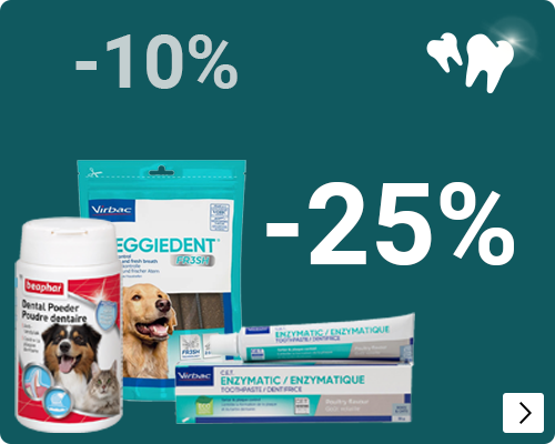 MAAND VH GEBIT DAP HERHALING DOG CAT