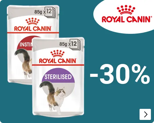 Royal Canin regulier natvoer kat 30% korting CAT